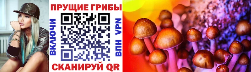 Галлюциногенные грибы Cubensis Апшеронск